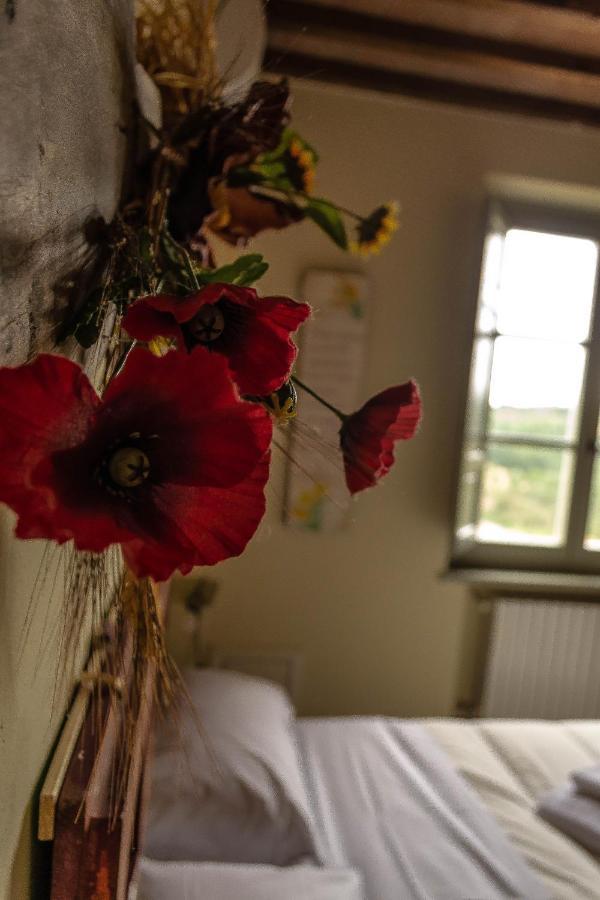 Agriturismo L'Olmo Сан Джиминяно Екстериор снимка