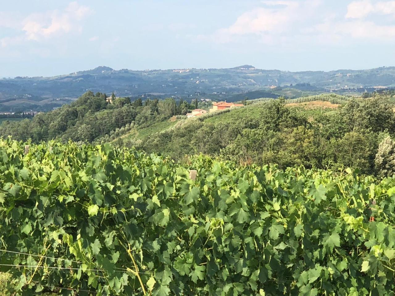 Agriturismo L'Olmo Сан Джиминяно Екстериор снимка
