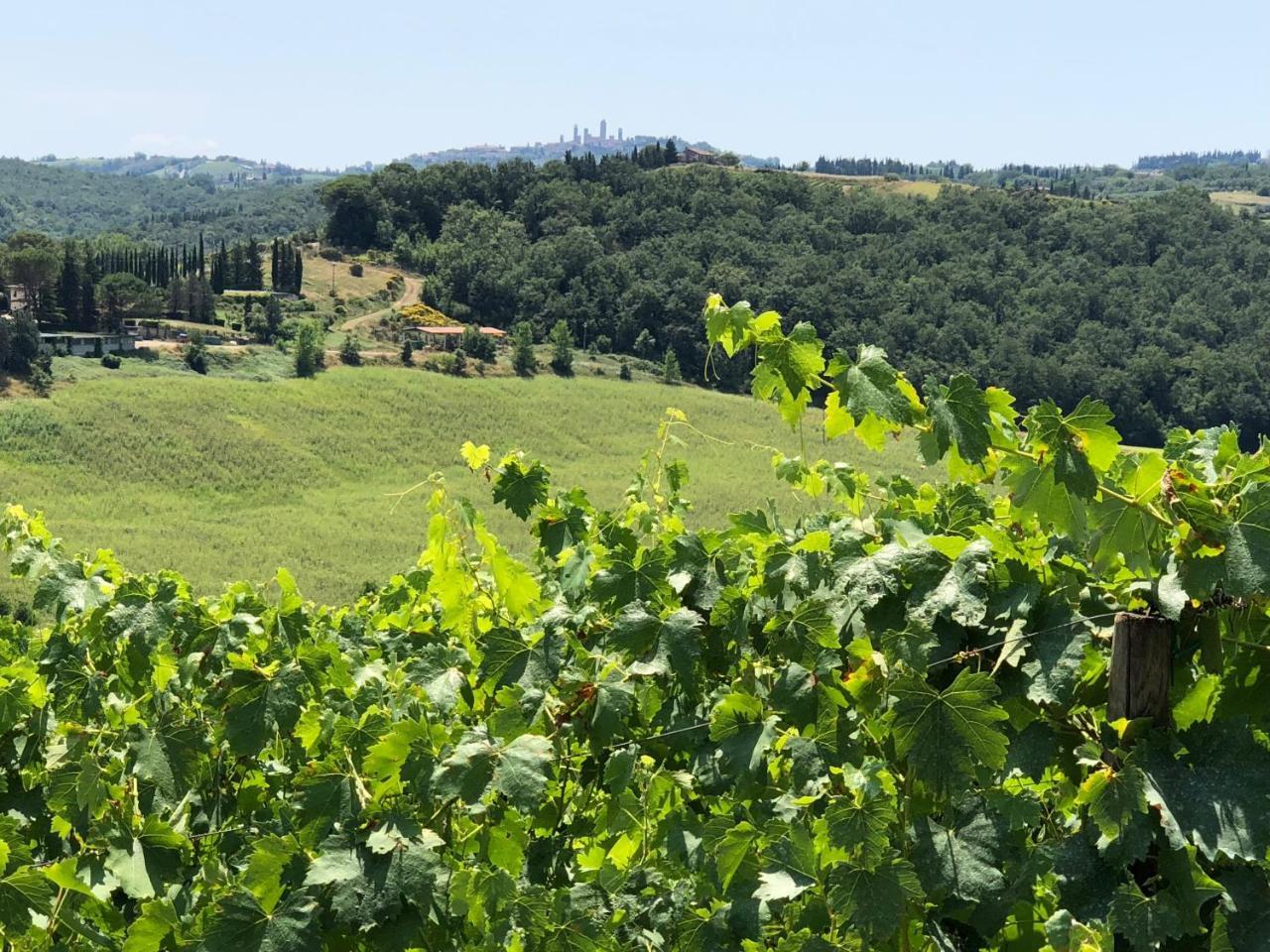 Agriturismo L'Olmo Сан Джиминяно Екстериор снимка