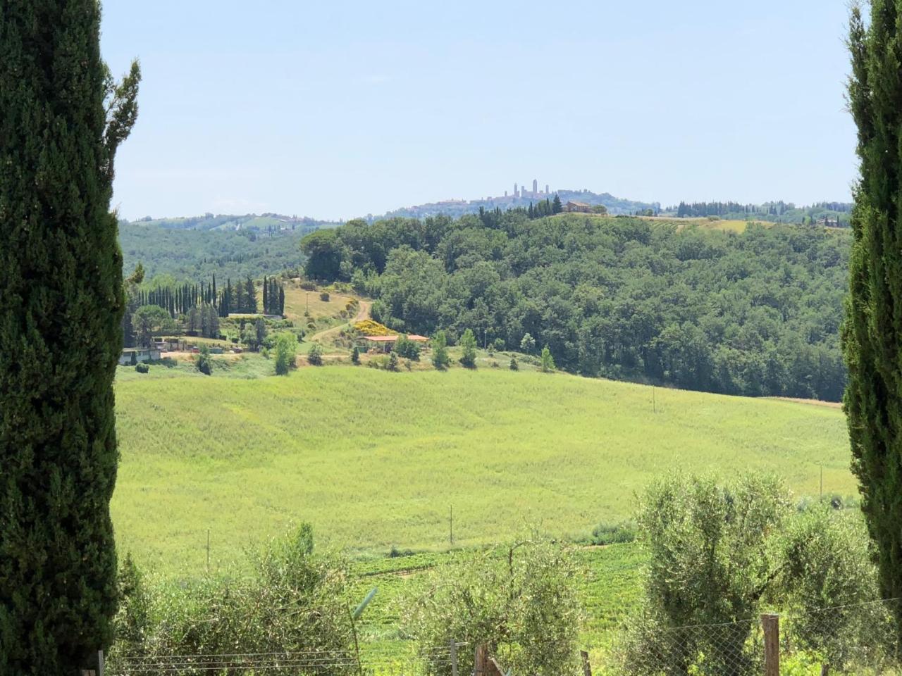 Agriturismo L'Olmo Сан Джиминяно Екстериор снимка